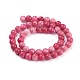 Shell Beads Strands&nbsp;BSHE-L041-07B-01-3