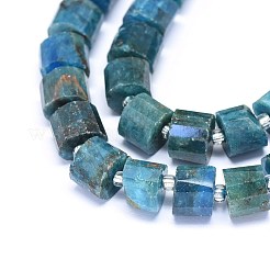 Natural Apatite Beads Strands&nbsp;G-F603-09
