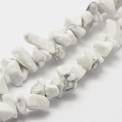 Natural Howlite Beads Strand&nbsp;X-G-F328-05