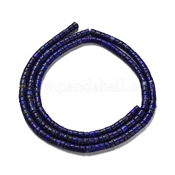 Natural Lapis Lazuli Beads Strands&nbsp;G-Z074-C01