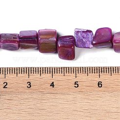 Dyed Natural Freshwater Shell Beads Strands&nbsp;X-SHEL-P016-01D