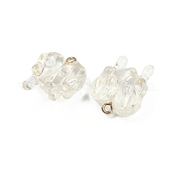 Resin Pendants&nbsp;RESI-I060-01E