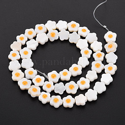 Natural Freshwater Shell Beads Strands with Enamel&nbsp;SHEL-T018-29A