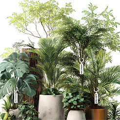 Plastic Plant Labels&nbsp;FIND-SP0005-72