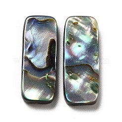 Natural Paua Shell Beads&nbsp;SHEL-G014-07A