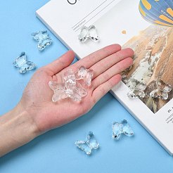 Transparent Acrylic Beads&nbsp;LS-PL404Y-6