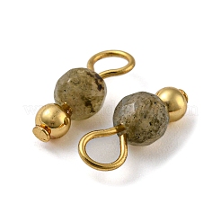 Natural Labradorite Faceted Round Charms&nbsp;PALLOY-NH00001