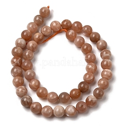 Natural Sunstone Beads Strands&nbsp;GG-CBA56E5-01A