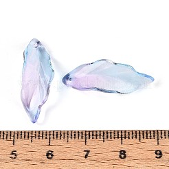 Baking Paint Transparent Glass Pendants&nbsp;DGLA-N014-02B