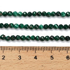 Natural Malachite Beads Strands&nbsp;X-G-C262-A02-3mm