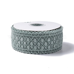 10 Yards Polyester Lace Trim Ribbon&nbsp;OCOR-C004-06J