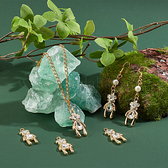 20Pcs Rack Plating Alloy Pendants&nbsp;FIND-CA0004-41