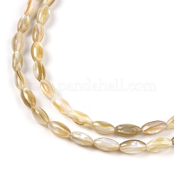 Natural Freshwater Shell Beads Strands&nbsp;X-BSHE-G036-03