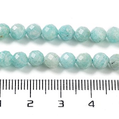 Natural Amazonite Beads Strands&nbsp;G-J400-E11-04