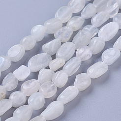 Natural Rainbow Moonstone Beads Strands&nbsp;G-P433-16