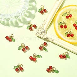 30Pcs Glass & Acrylic Beaded Charms&nbsp;PALLOY-CJ0003-03