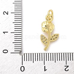 Brass Micro Pave Cubic Zirconia Pendants&nbsp;KK-S511-14G