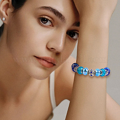 60Pcs 12 Styles Alloy Rhinestone/Enamel European Beads & Resin European Beads Kits&nbsp;DIY-PA0001-06A
