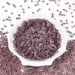 6/0 Transparent Inside Colours Glass Seed Beads&nbsp;SEED-N008-08C