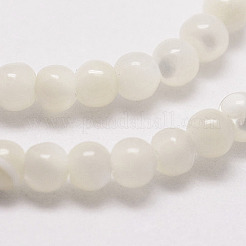 Natural White Shell Beads&nbsp;G-N0190-11-2mm