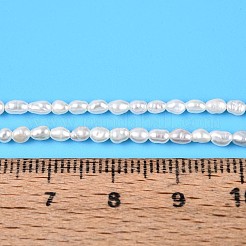 Natural Cultured Freshwater Pearl Beads Strands&nbsp;PEAR-T006-08