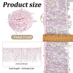Fringe Polyester Lace Ribbon&nbsp;DIY-WH20062-40B