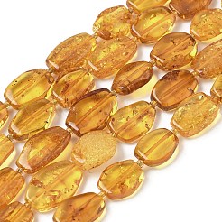 Natural Amber Beads Strands&nbsp;G-L095-C01-05