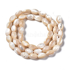 Natural Trochid Shell/Trochus Shell Beads Strands&nbsp;X-SSHEL-S266-021B-02