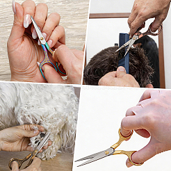 6Pcs 6 Colors Stainless Steel Embroidery Scissors&nbsp;AJEW-CY0003-16