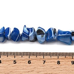Natural Trochid Shell/Trochus Shell Beads Strands&nbsp;SHEL-B003-02G