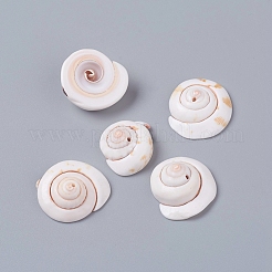 Natural Shiva Eye Shell Beads&nbsp;X-BSHE-D019-03