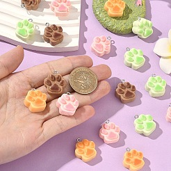 20Pcs Opaque Resin Pendants&nbsp;RESI-YW0006-25