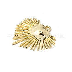 Alloy Pendants&nbsp;FIND-B060-06G