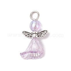6Pcs Transparent Acrylic Pendants&nbsp;PALLOY-JF03287