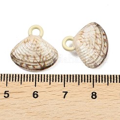 Baking Paint Alloy Pendants&nbsp;FIND-I072-02
