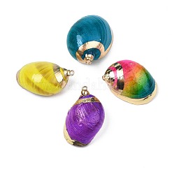 Spray Painted & Electroplate Spiral Shell Pendants&nbsp;SSHEL-T010-03