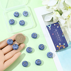 16Pcs Resin Pendants&nbsp;RESI-SC0006-44