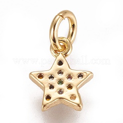 Brass Micro Pave Cubic Zirconia Charms&nbsp;ZIRC-E145-78G