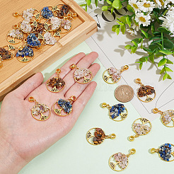 24Pcs 4 Styles Natural Mixed Gemstone European Dangle Charms&nbsp;FIND-AR0004-37