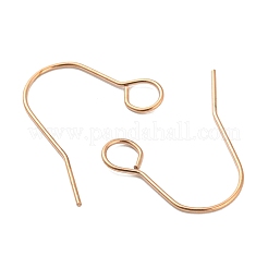 304 Stainless Steel Earring Hooks&nbsp;STAS-B047-31RG