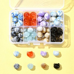 80Pcs 8 Colors Two Tone Transparent/Opaque Acrylic Beads&nbsp;TACR-FS0001-48