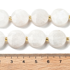 Natural Rainbow Moonstone Beads Strands&nbsp;G-C116-A168-03
