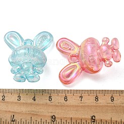 Transparent Acrylic Pendants&nbsp;PACR-Q008-23