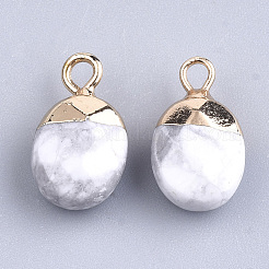Electroplate Natural Howlite Charms&nbsp;G-S344-09F