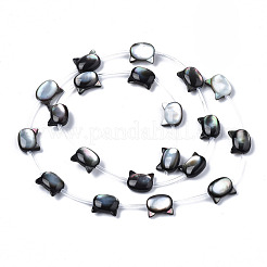 Natural Black Lip Shell Beads Strands&nbsp;SSHEL-S278-124B