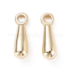 Brass Charms&nbsp;KK-K251-10G