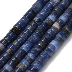 Natural Sodalite Beads Strands&nbsp;G-Z110-A03-2x4mm