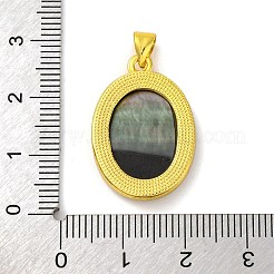 Natural Black Lip Shell Carved Nine Tailed Fox Pendants&nbsp;KK-D537-08G-02