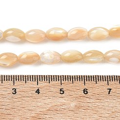 Natural Sea Shell Oval Bead Strands&nbsp;SSHEL-M016-01B