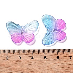 Transparent Acrylic Pendants&nbsp;OACR-H116-06D